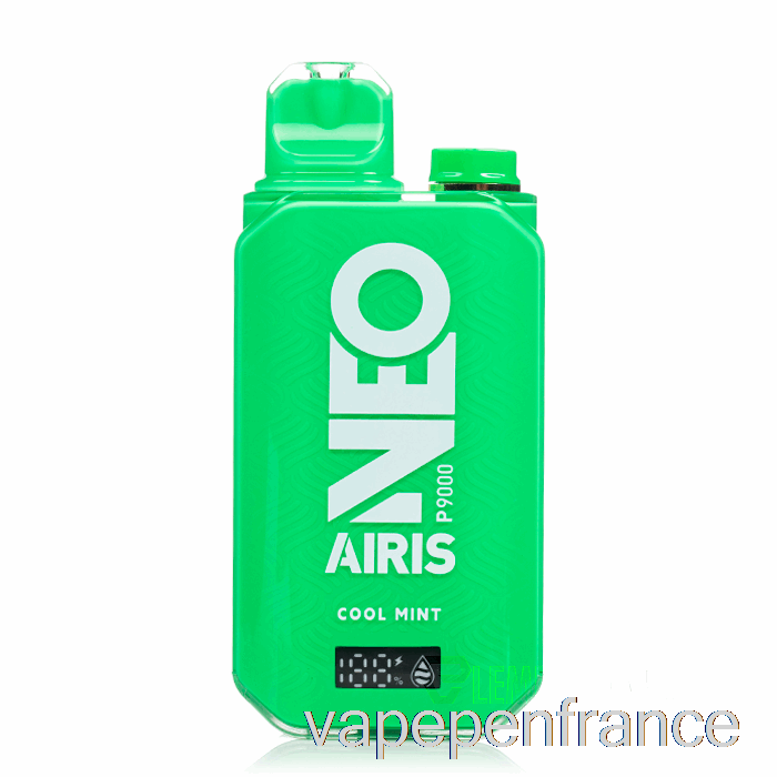 Stylo Vape Jetable à La Menthe Fraîche Airis Neo P9000